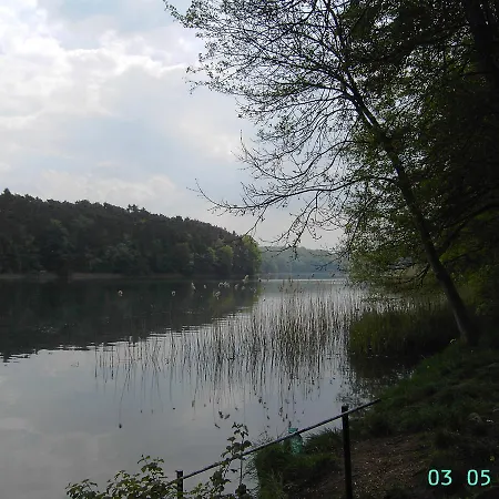 Apartment Luzinblick Feldberger Seenlandschaft